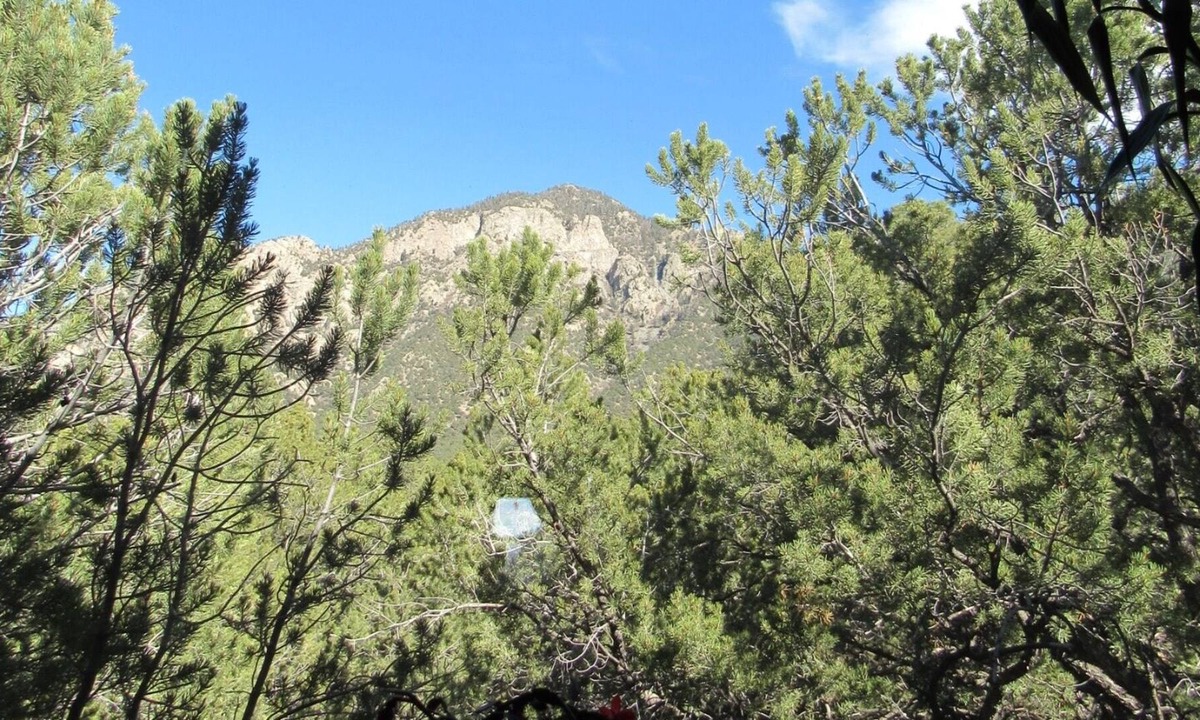 Crestone House | The Treehouse - See the trees and mountains instead of your neighbors!