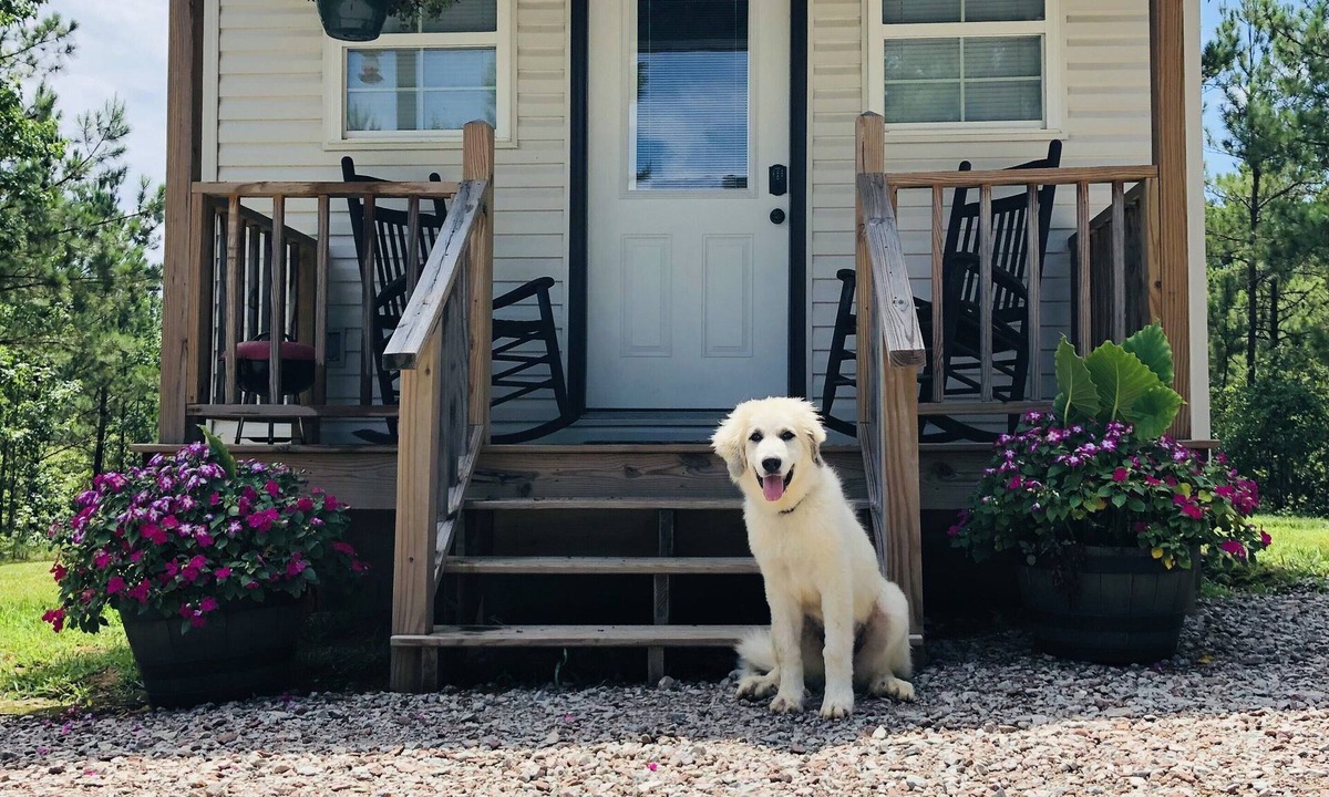 Morris Chapel House | Tiny house/sleeps 4