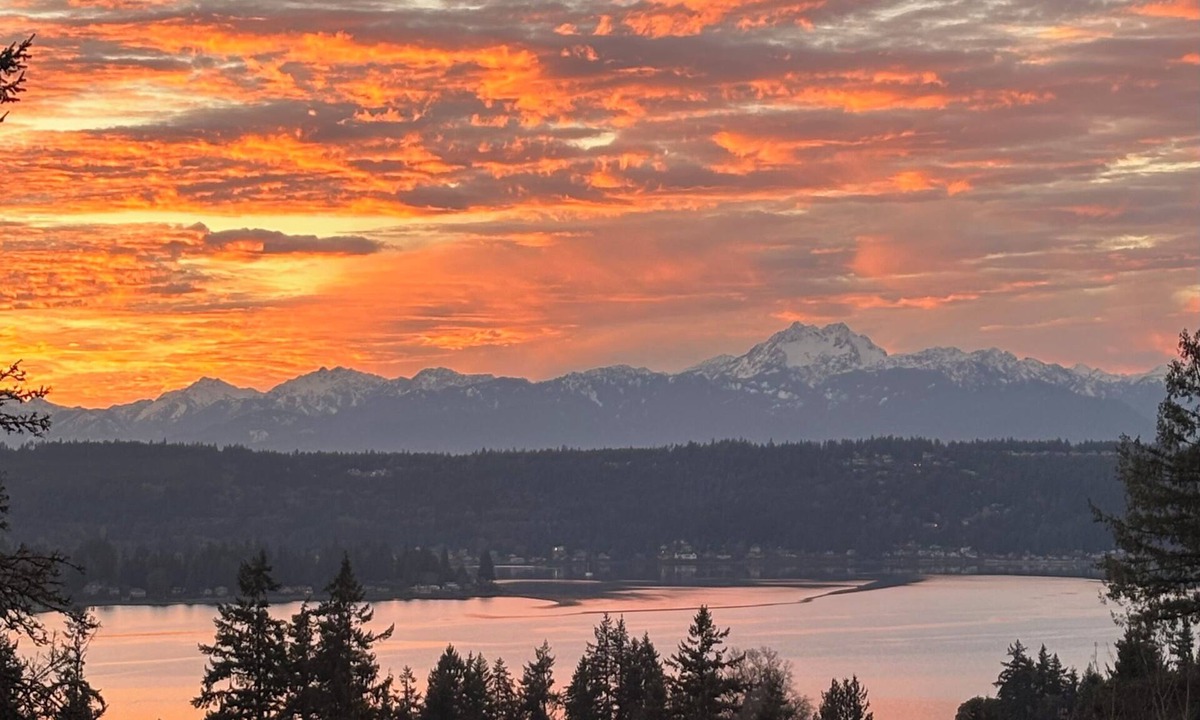 Tracyton House | Water & Mountain Views Private Retreat Near Town Family & Pet Friendly