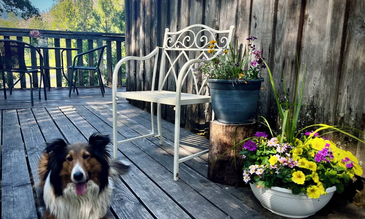 Grants Pass Apartment | Welcome to Mountain Greens Cabin