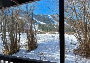 2-story townhome with mountain & ski views, wood-burning fireplace - near lifts