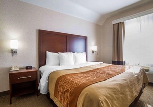 Comfort Inn Elko