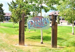 Pines at Meadow Ridge
