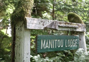 Primitive Tent Site #11- Beautiful Forested Property