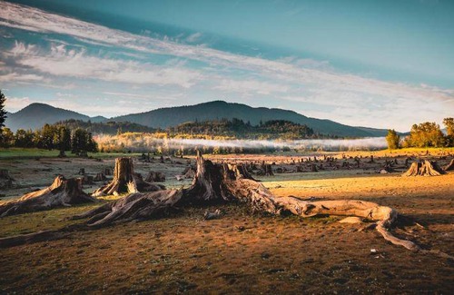 Nisqually Park Hotel | 37 m² Motel ∙ 127 guests
