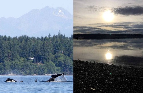 Lakebay House | House ∙ 1 bedroom ∙ 8 guests