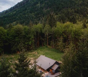 Port Angeles House | 28-Acre Olympic Cabin Hot Tub Sauna Private