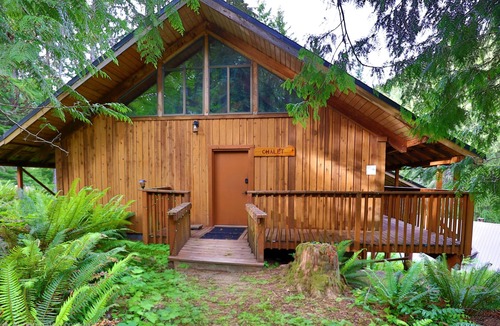 Ashford Cabin | A-Frame Chalet Near Mount Rainier, Sauna, Sleeps 12