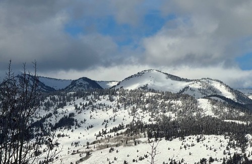 Moose Wilson Road Condo | Absolute Heaven In The Tetons - ideal for skiing, Grand Teton Nat’l Park