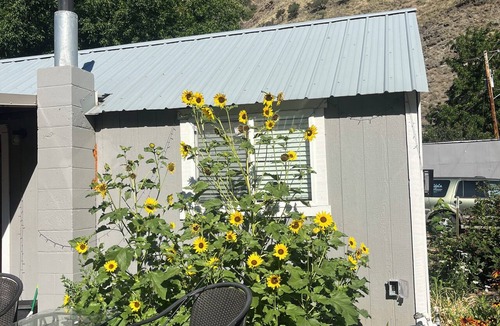 Riggins Cottage | Adorable 1-bedroom cottage with AC in charming Riggins