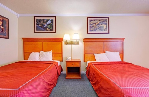 Stevenson Hotel | Affordable Room for Budget-Friendly Travels | East Point Kite Beach - 0.2 miles