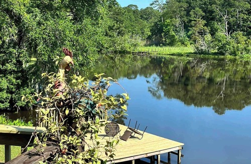 Mobile House | Amazing! Tara's Riverfront Hideaway