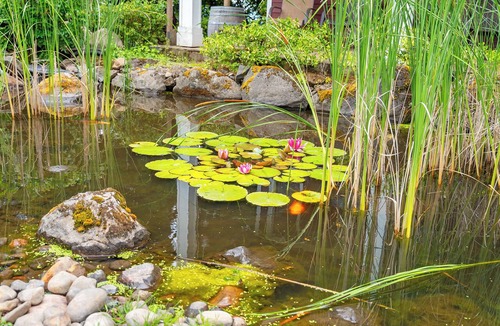 Ladd Hill House | Anbrila Vineyard House, 5-Bedroom w/Pool, Hot Tub, Mt. Hood + Vineyard Views!