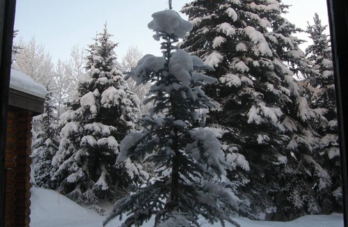 Ketchum House | Artist's Home by Bald Mtn, river. Walk to ski, fish, hike, bike, eat, theaters +