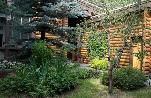 Ketchum House | Artist's Home by Bald Mtn, river. Walk to ski, fish, hike, bike, eat, theaters +