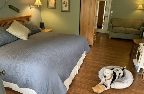 Siskiyou-Hargadine Historic District Bed & Breakfast | Ashland's Premier Eco-B&B: Dog-friendly King Bed Suite with Separate Entrance (Jardin)