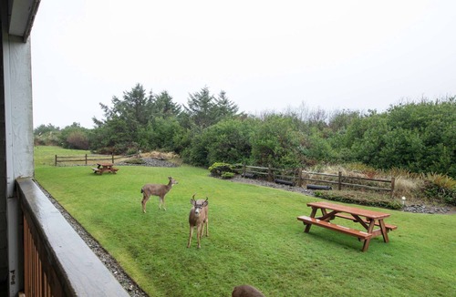 Ocean Shores Condo | Aurora 1 Bedroom Oceanfront Condo - Pet Friendly