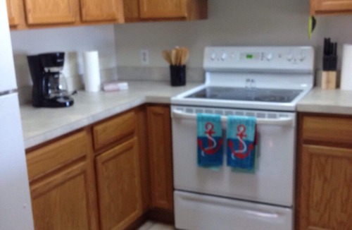 Ortonville Condo | Bald Eagle All Sports Lakefront 2 BR Condo