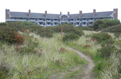 Ocean Shores Apartment | Beachfront Escape with Pool, Fire Pit, BBQ Grills & Stunning Ocean Views