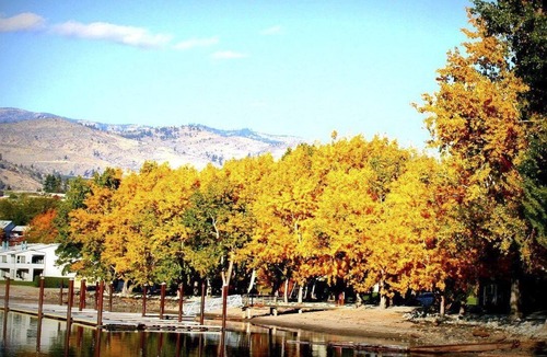 Manson Apartment | Beautiful 1 bedroom unit at resort, sleeps 6