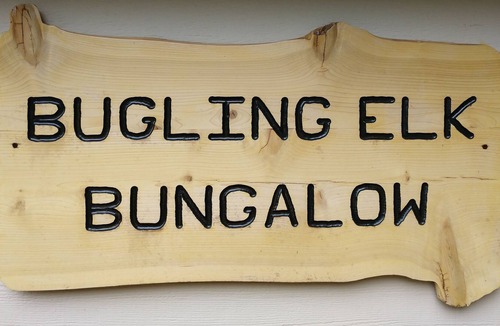 Packwood House | Beautiful Northwest Lodging - Bugling Elk Bungalow w/elk & nearby creek