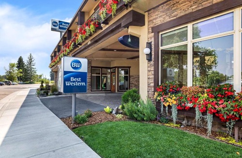 Idaho Falls Hotel | Best Western Driftwood Inn