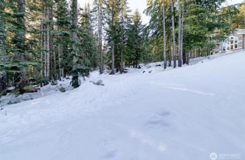Hyak House | Bigfoot's Basecamp - 4BR Snoqualmie Pass Retreat, Hot Tub, Pets Welcome