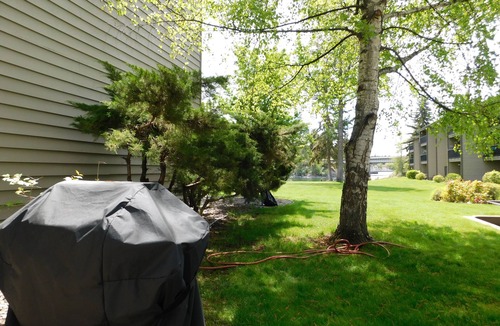 Bigfork Condo | Bigfork Water View Studio Condo