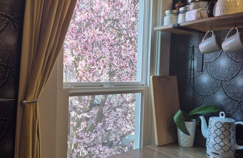 Logan House | Billiken Inn, Private Loft in 2 Story Victorian