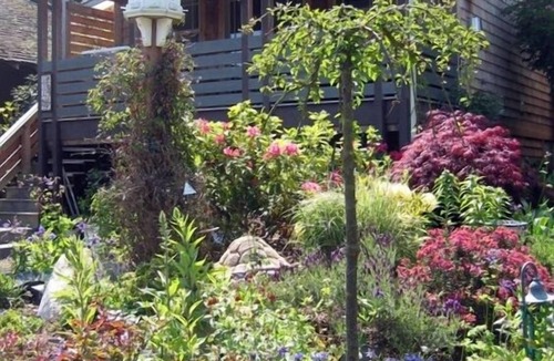 Port Townsend Cottage | Bird Nest Cottage near Fort Worden