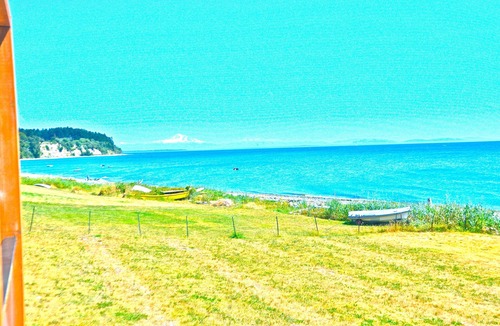 Point Roberts Cottage | BOOK FIFA FAMILY 50' waterfront at South Beach, adorable 3 bdm 45 min to YVR.
