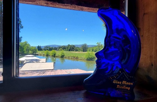 Cave Junction Apartment | Bridgeview Winery Suite With Gorgeous Mountain Views and Scenic Outdoor Space!