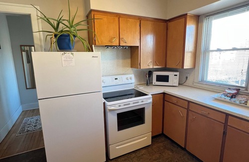 Vine Apartment | Bright, charming 2 bedroomdrm apartment. in downtown home in Kalamazoo