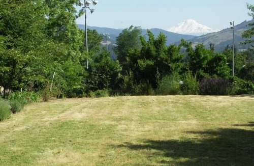 Hood River Cottage | Bright cozy cottage with Mt. Adams view