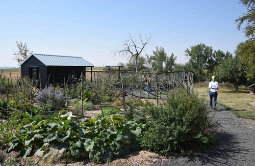 Harvard RV Rental | Cabin 1 | Rural Oasis on Pond with Panoramic Views