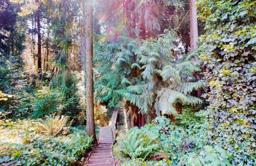 Gig Harbor House | Calamity Cabin