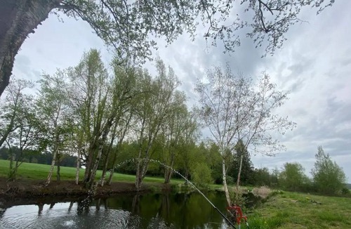 Ferndale RV Rental | CAMPSITE 1 Cottonwood pond CAMPSITE on June Bud Farms
