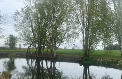 Ferndale RV Rental | CAMPSITE 1 Cottonwood pond CAMPSITE on June Bud Farms