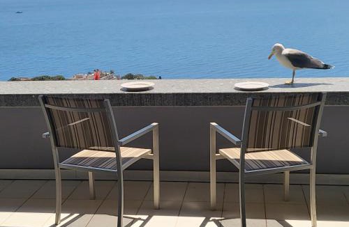 Cap d'Ail Apartment | Cap Monaco