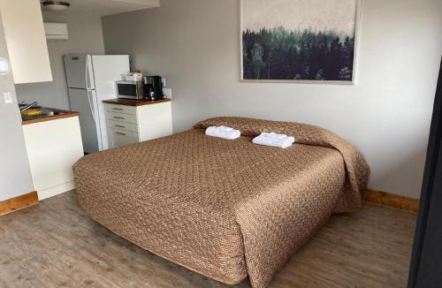 Soda Springs Hotel | Caribou Lodge and Motel