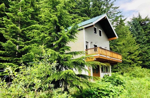 North Bend Cabin | Centrally Located/Close to Ski Resorts/High Speed Internet