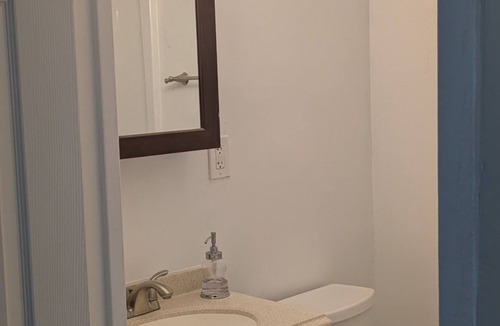 Lafayette Park Apartment | Charming 2 bedroom apartment with AC in adorable Detroit