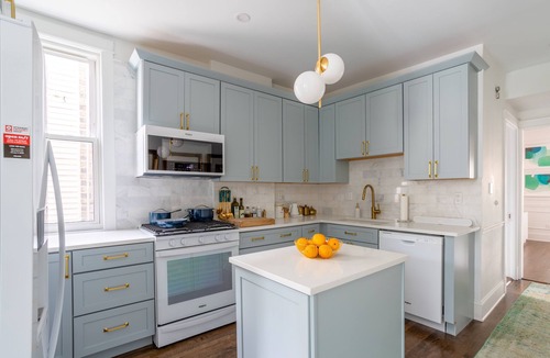 Andersonville House | Classic Chicago 2 Flat transformed into a Parisian plant lovers paradise