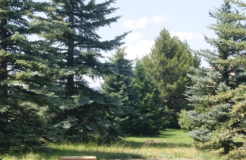 Island Park House | Close to Yellowstone ~ Wifi ~ Decks ~ BBQ ~ Fireplace ~ Fire Pit