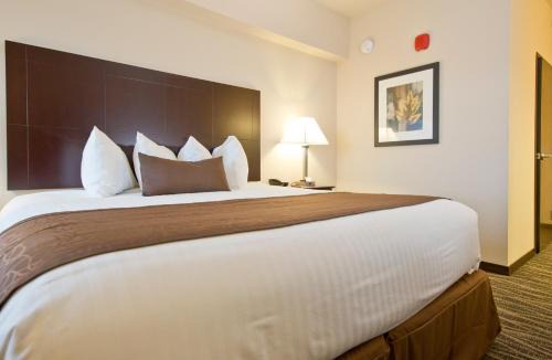 Boone Hotel | Cobblestone Inn & Suites - Boone