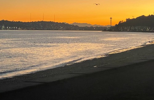 West Seattle Apartment | Come visit the best beach in Seattle! Private 1 bed/1 bath studio apartment