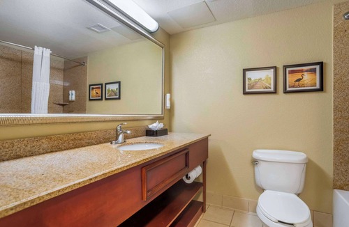 Malbis Hotel | Comfort Inn & Suites Daphne Spanish Fort - Mobile East