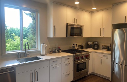 Moss Bay Apartment | Contemporary One Bedroom Oasis in Downtown Kirkland