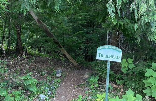 Clark Fork Cabin | Cozy 1-bedroom cabin in peaceful Clark Fork with AC