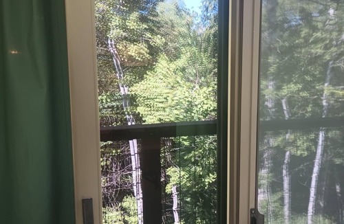 Driggs Condo | Cozy 1-bedroom condo in charming Driggs with WiFi